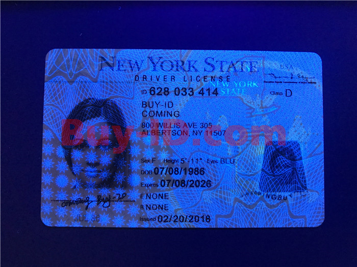 New York ID New York State ID Card Fake id maker