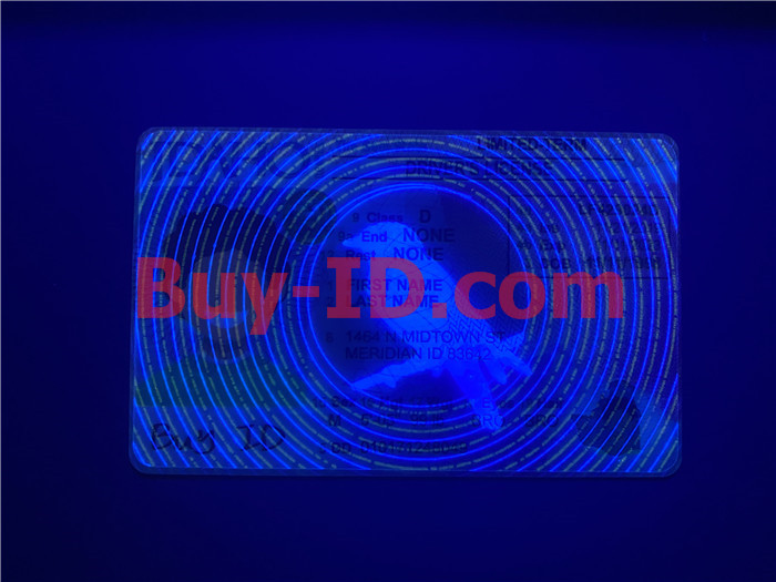 Idaho State ID Card scannable fake id fake driving license