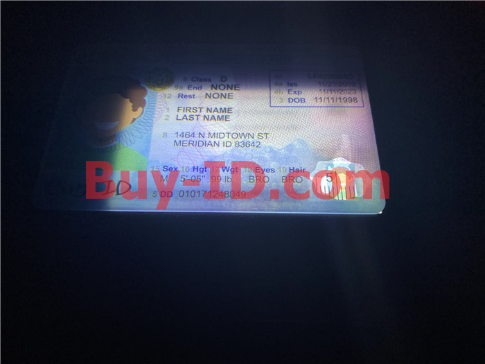 Idaho State ID Card scannable fake id fake driving license