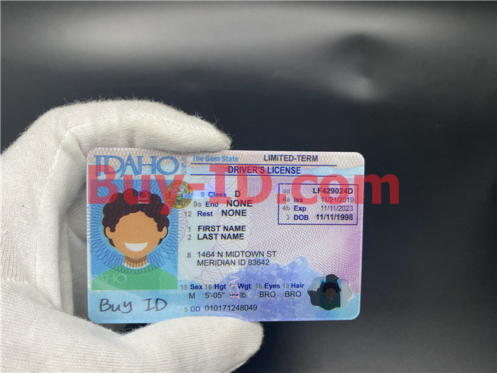 Idaho State ID Card scannable fake id fake driving license