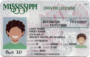 Mississippi ID-Buy-ID.com