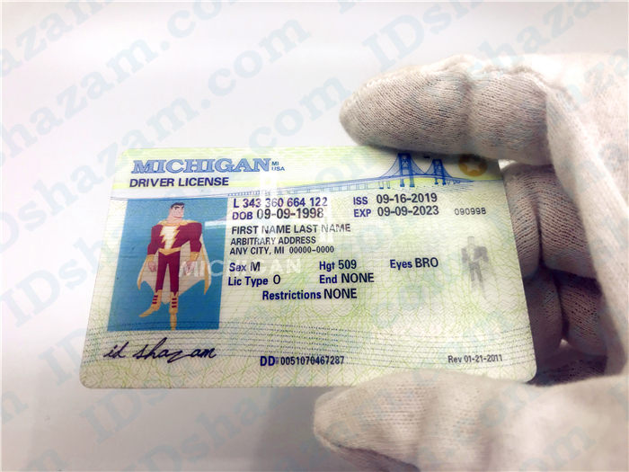 Premium Scannable Michigan State Fake ID Card Handheld Display