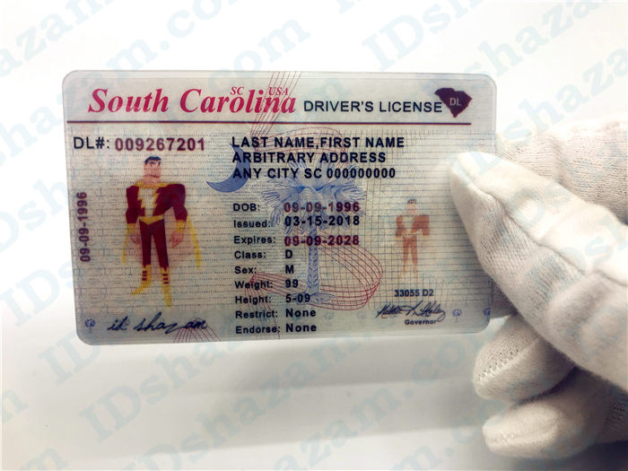Premium Scannable South Carolina State Fake ID Card Handheld Display