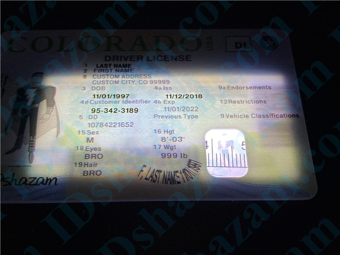 Premium Scannable New Colorado State Fake ID Card Small Transparent Window