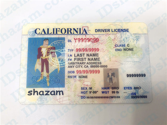 Premium Scannable Old California State Fake ID Card Positive Display