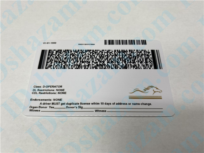 Premium Scannable Kentucky State Fake ID Card Back Display