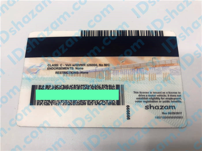 Premium Scannable New California State Fake ID Card Back Display