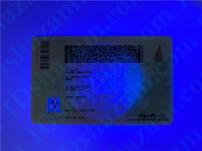 Premium Scannable New Hampshire State Fake ID Card UV Anti-Counterfeiting Layer 2