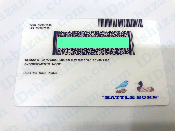 Premium Scannable Nevada State Fake ID Card Back Display