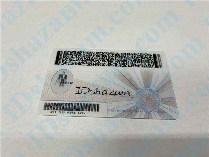 Premium Scannable Virginia State Fake ID Card Back Display