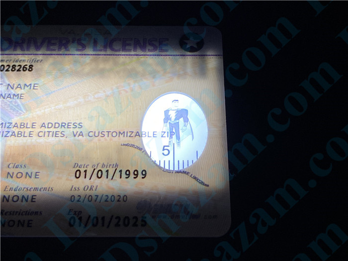 Premium Scannable Virginia State Fake ID Card Small Transparent Window
