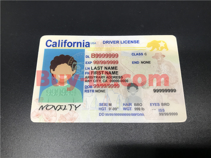 Premium Scannable New California State Fake ID Card Positive Display