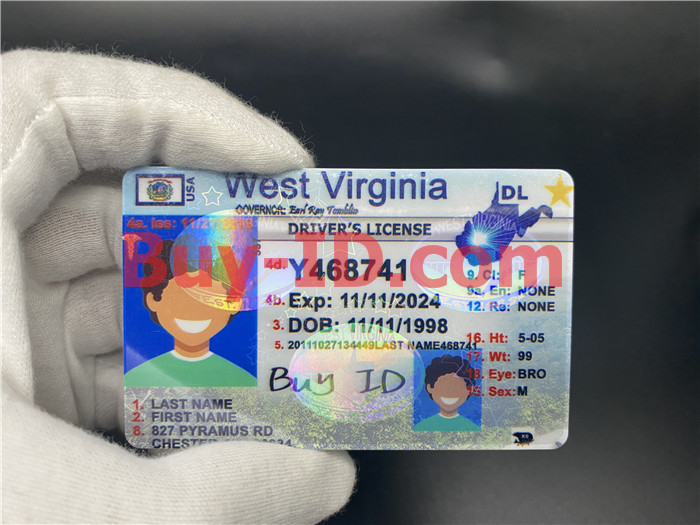 Premium Scannable West Virginia State Fake ID Card Hologram Display