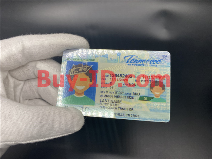 Premium Scannable Tennessee State Fake ID Card Hologram Display