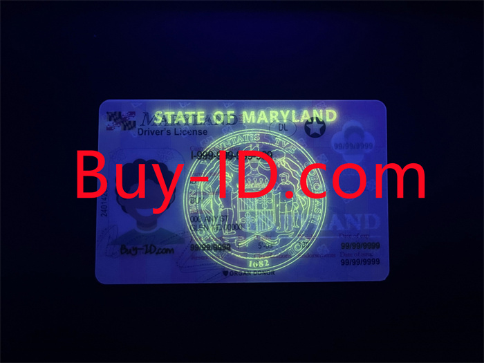 Scannable Maryland State Fake ID Card | Fake ID Maker - Buy-ID.com